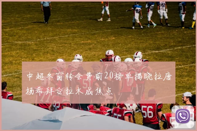 中超冬窗转会费前20榜单揭晓拉唐杨希拜合拉木成焦点